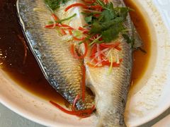 -孔庆璞河豚馆(白玉兰酒店)
