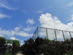 -青岛大学(金家岭校区)