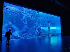 -哈尔滨波塞冬海底世界