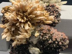 -湖南省地质博物馆