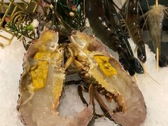-喜聚薈·花膠雞海鮮火鍋(越秀店)