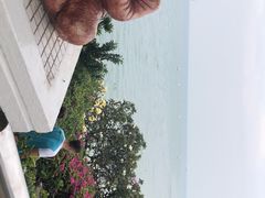 -卷心菜和避孕套餐厅(Pattaya)
