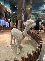 -宝燕乐园(闵行旗舰店)