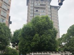 -张江汤臣豪园一期