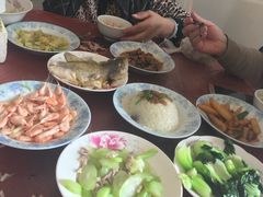 -南汇水蜜桃采摘(大团店)