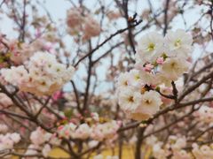 -盈香心动乐园