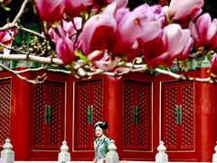 -故宫博物院(故宫)