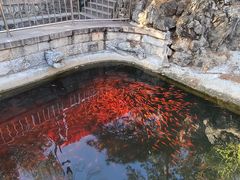 -红螺寺