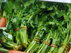 -张记砂锅麻辣烫(千灯店)