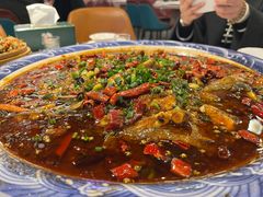 -新概念来凤鱼(璧山店)
