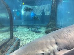 -福州罗源湾海洋世界旅游区