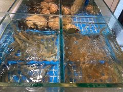-阿杰臻选海鲜饭店(普陀山店)