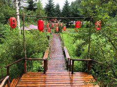 -五营红松林海景区