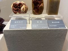 -安徽省地质博物馆