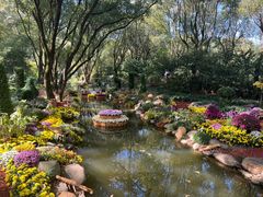 -上海共青森林公园