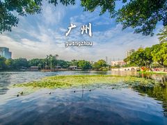 -荔湾湖公园