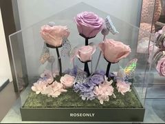 -ROSEONLY诺誓(广州K11店)