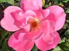 -人民公园(罗湖区)