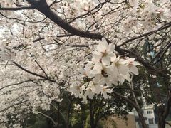 -玛格萝妮比萨屋(四平店)