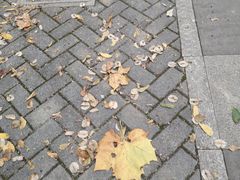 -贵阳市花溪国家城市湿地公园