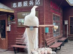 -呀路古热带植物园