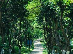 -燕晗山郊野公园