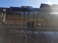 -呀路古热带植物园