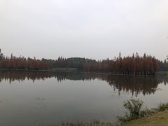 -白鹭湾湿地公园