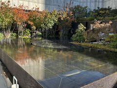 -北京康莱德酒店