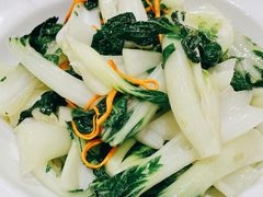 清炒奶白菜-老德祥酒店(德兴店)