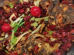 -老板恋上鱼(恒隆广场店)