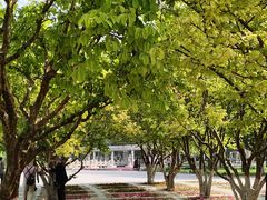 -石家庄市植物园