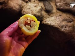 -观唐（国际）度假村温泉