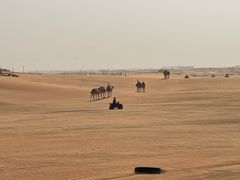 -迪拜沙漠冲沙