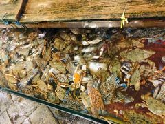 -钱大妈海鲜饭店(保利林语店)