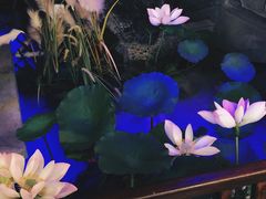 -韵秋荷(宝山龙湖天街店)