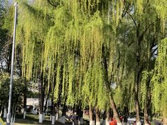-七桥瓮公园