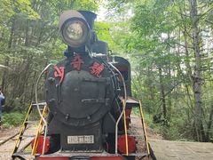 -五营红松林海景区