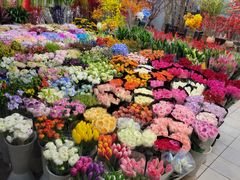 -双季花艺园艺市场(浦东店)