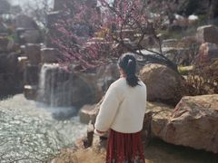 -无锡梅园公园