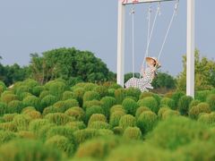 -花开海上生态园