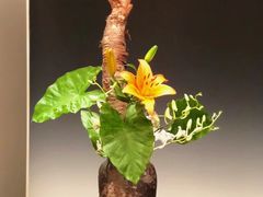 -北京三里屯CHAO酒店