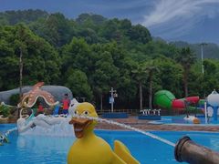 -重庆海昌加勒比海水世界