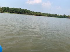 -上海海湾国家森林公园