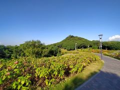 -立新湖公园