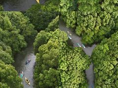 -动邦皮划艇·桨板·独木舟·团建户外运动俱乐部