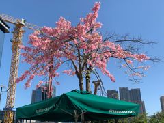 -星巴克(深圳前海企业公馆店)