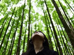 -山王坪喀斯特国家生态公园