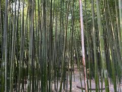 -泰山风景名胜区-普照寺