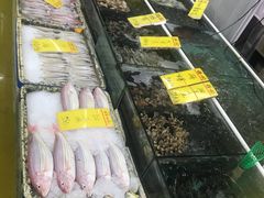 -鸿达渔港